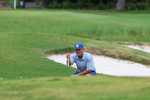 Reading a bunker shot at the Senior Open.